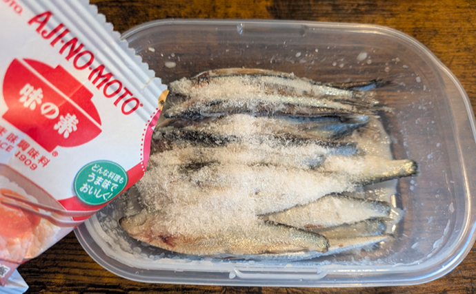業務スーパー「バルト海いわし（248円）」がタチウオ釣りの優秀エサになるって本当？