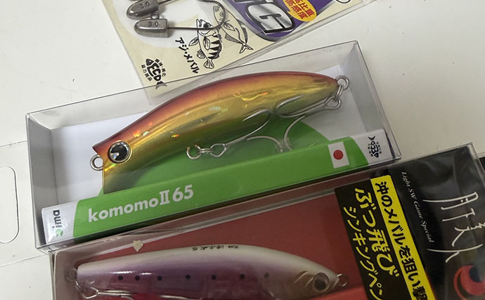 スレた＆低活性のチヌ攻略法　魚視点の「食べやすさ」を意識したルアー選択が重要