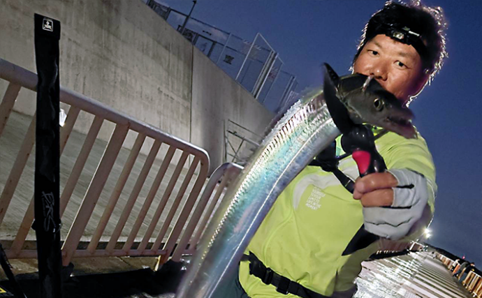 「もう釣れないと思っていた」タチウオが3年ぶりに復活！ サゴシも連発【南港魚つり園】