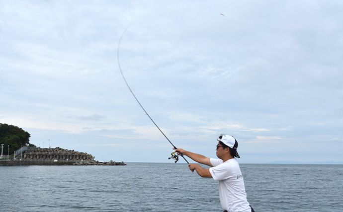 コンパクトロッド1本で「何魚種釣れる？」 アオリにキジハタにカマスも連発【福井】