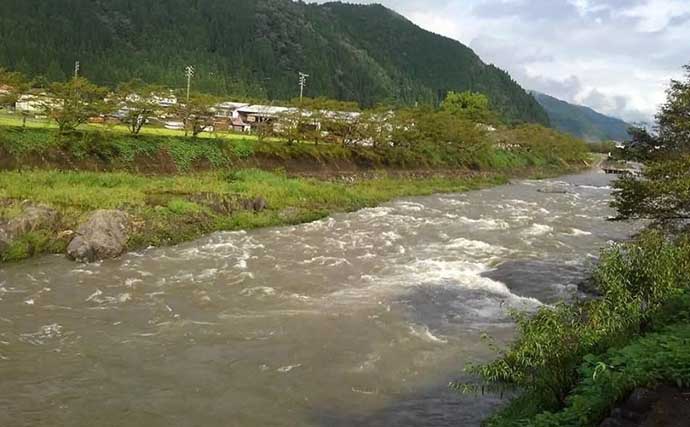 大雨で川が増水するとアユはどうなってしまう？ 避難場所と産卵＆アユ釣りへの影響を解説