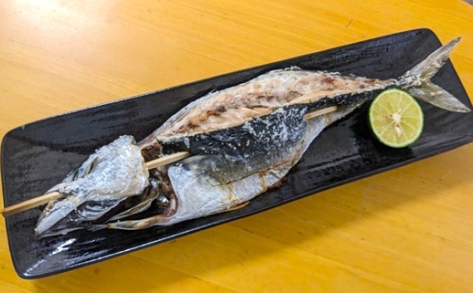 「シーバス VS サワラ VS サーモン」　秋の釣魚でパイ包み焼きしたら超絶旨かった