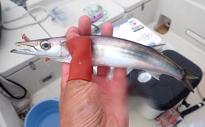 昔ながらの手釣り「カッタクリ」で青物入れ食い！ クーラー満タンで予定より早く帰港【沼津】