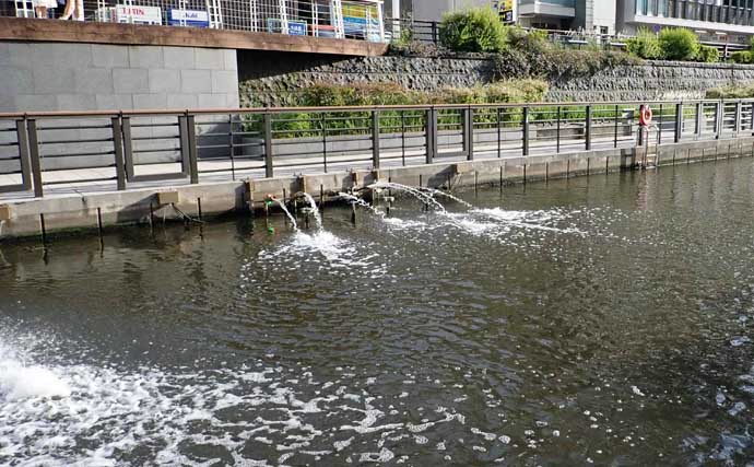 東京スカイツリー周辺でハゼを釣ろう！ おすすめハゼ釣り場：北十間川　