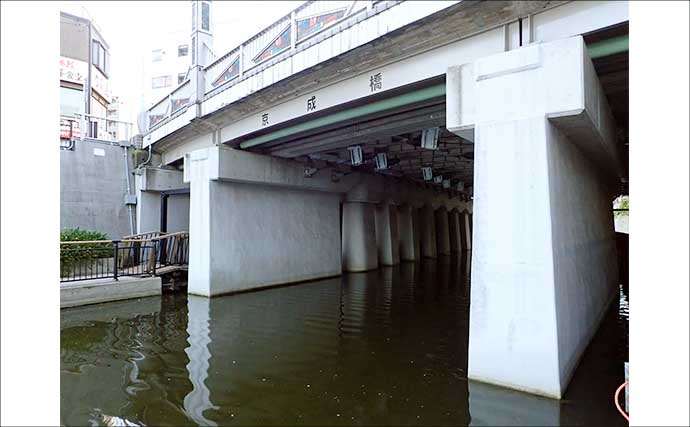 東京スカイツリー周辺でハゼを釣ろう！ おすすめハゼ釣り場：北十間川　