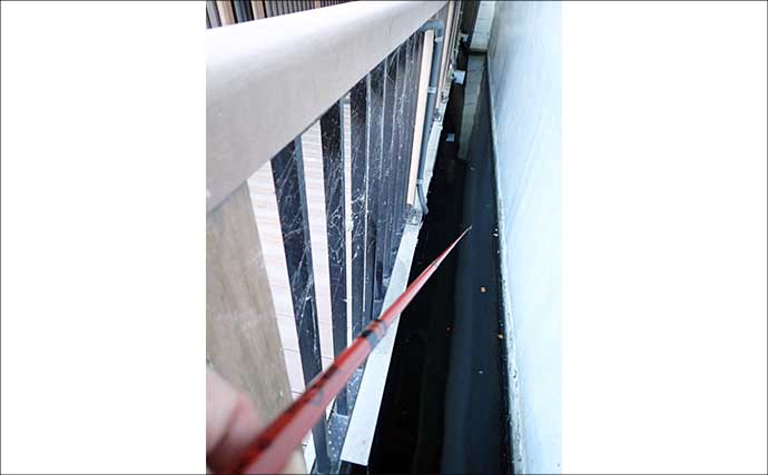 東京スカイツリー周辺でハゼを釣ろう！ おすすめハゼ釣り場：北十間川　