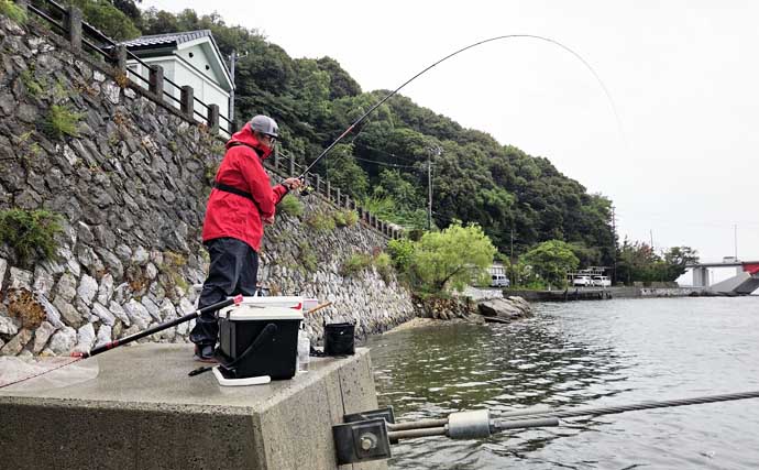 クロダイのウキダンゴ釣り入門　必要な道具・ダンゴの配合・釣り方のコツを解説