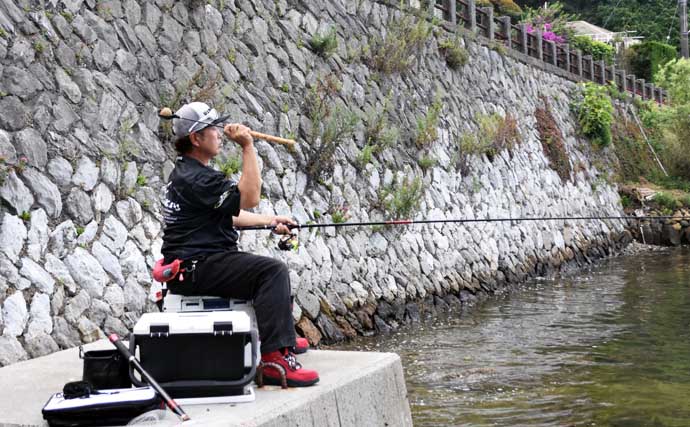 クロダイのウキダンゴ釣り入門　必要な道具・ダンゴの配合・釣り方のコツを解説