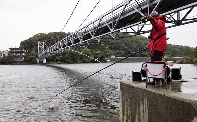 クロダイのウキダンゴ釣り入門　必要な道具・ダンゴの配合・釣り方のコツを解説