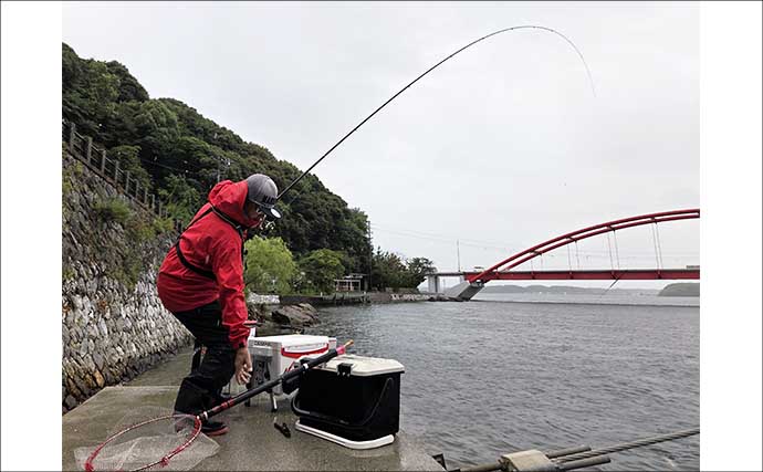 クロダイのウキダンゴ釣り入門　必要な道具・ダンゴの配合・釣り方のコツを解説