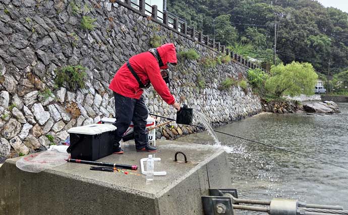 クロダイのウキダンゴ釣り入門　必要な道具・ダンゴの配合・釣り方のコツを解説