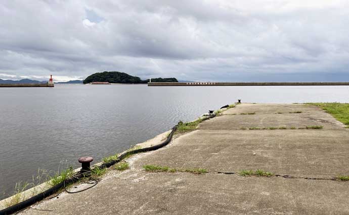 遠投よりも「堤防際」狙いが正解！ ハゼが1投1匹の入れ食いで2時間半で47匹【愛知】