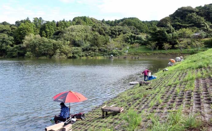 今週のヘラブナ推薦釣り場2026【静岡・七曲の池】