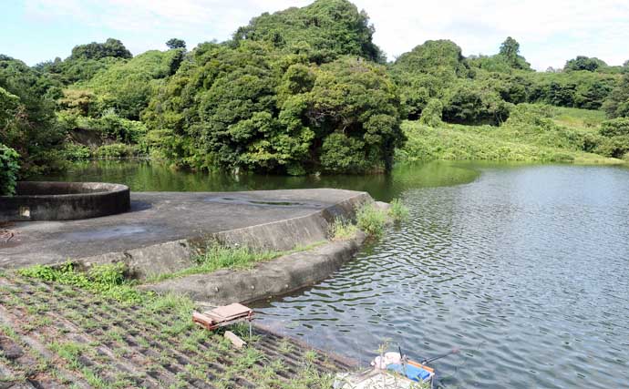 今週のヘラブナ推薦釣り場2026【静岡・七曲の池】