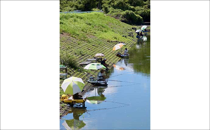今週のヘラブナ推薦釣り場2026【静岡・七曲の池】