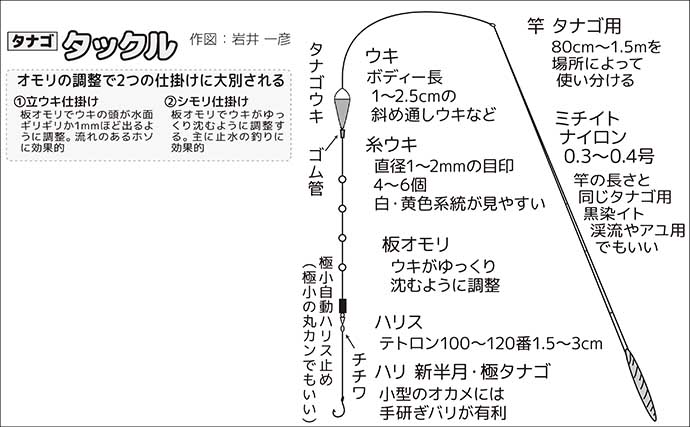 秋のタナゴ釣り入門解説　【タックル・仕掛け・エサ・ポイント選び・タナ・釣り方】
