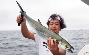 東京湾のサワラ釣りは「重いジグ」が有利？ 50〜60gのブレードジグで…