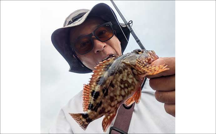 運河の「カケアガリ」で根魚が連発！ 25cm級アラカブ＆タケノコメバルをキャッチ