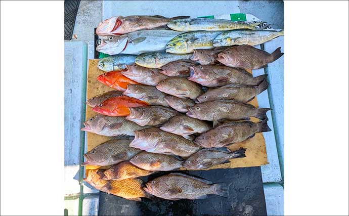 「平均50cm」の大型オオモンハタ祭り！ 56cm頭に20尾以上キャッチ【天草・熊本】