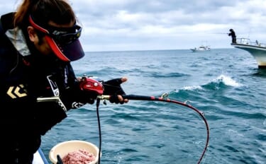 相模湾で「デカカツオ」爆釣！【洋征丸】7.5kg頭に15本を仕留めた釣…