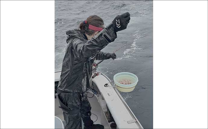 相模湾で「デカカツオ」爆釣！【洋征丸】7.5kg頭に15本を仕留めた釣り方を名手が徹底解説
