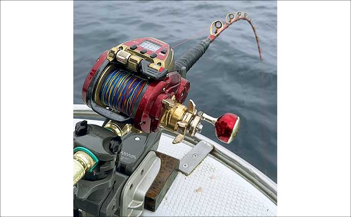 相模湾で「デカカツオ」爆釣！【洋征丸】7.5kg頭に15本を仕留めた釣り方を名手が徹底解説