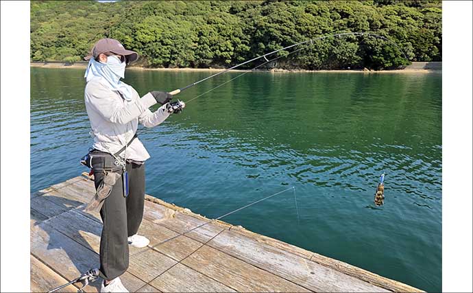 秋のイカダエギング釣り方と攻略のコツを解説！ 陸っぱりとの違いや足元の狙い方とは？