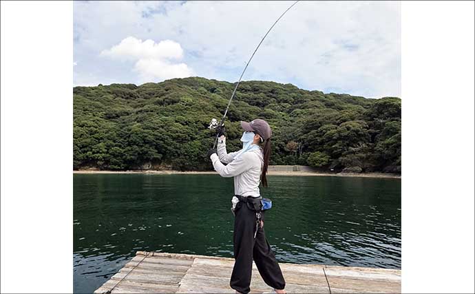 秋のイカダエギング釣り方と攻略のコツを解説！ 陸っぱりとの違いや足元の狙い方とは？