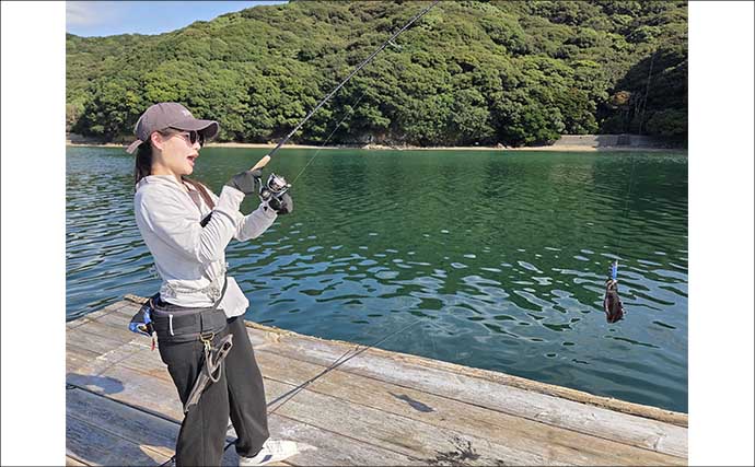 秋のイカダエギング釣り方と攻略のコツを解説！ 陸っぱりとの違いや足元の狙い方とは？