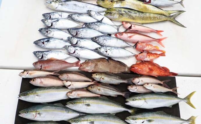 タテ釣り（落とし込み）で「半日無反応」から一転！ 最後のポイントで青物が連発【志摩沖】