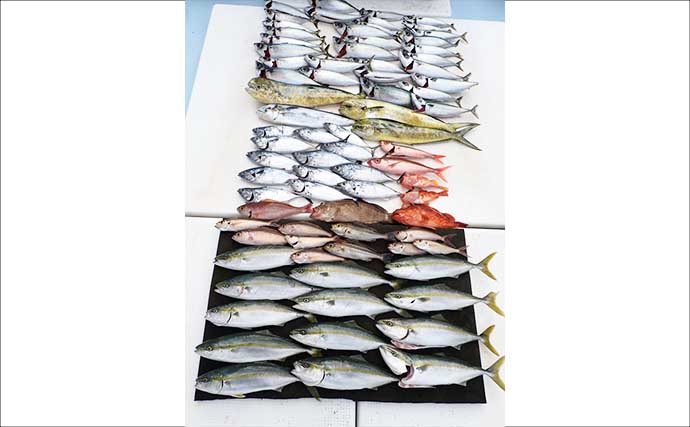 タテ釣り（落とし込み）で「半日無反応」から一転！ 最後のポイントで青物が連発【志摩沖】