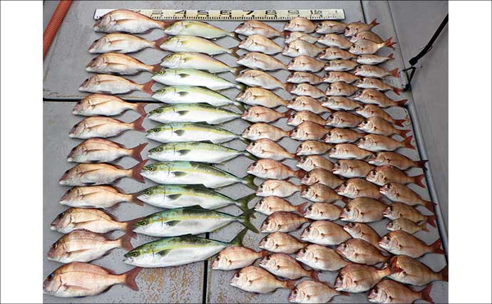 五目釣りで良型マハタにハチビキなどが好ヒット中【船のエサ釣り釣果速報13選・愛知／静岡】