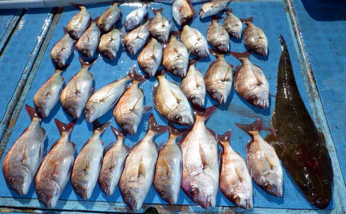 カワハギ便でトップ100匹超えの大爆釣！【船のエサ釣り最新釣果報9選・愛知】