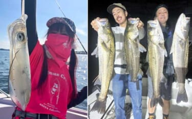 70cmアップ含む大型シーバスが連発！【沖のルアー最新釣果情報13選・…