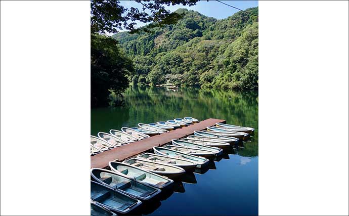 今週のヘラブナ「ピックアップ」釣り場2026【埼玉県・間瀬湖】