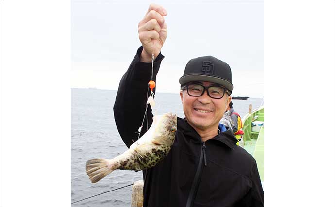 東京湾フグ釣りで「3種のフグ」が続々ヒット！ 船中全員安打でトップはアカメ主体に25尾【新明丸】