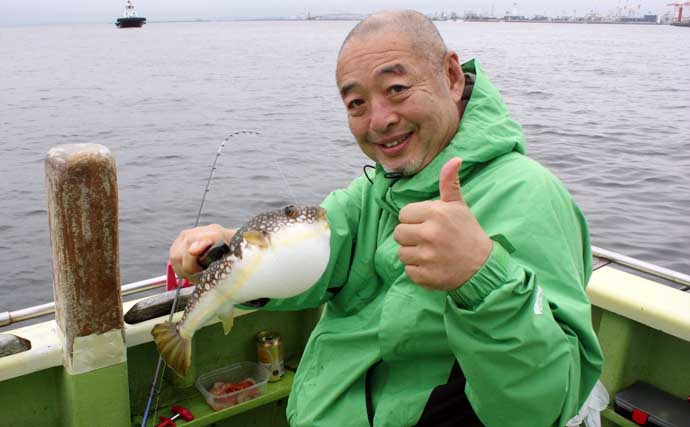 東京湾フグ釣りで「3種のフグ」が続々ヒット！ 船中全員安打でトップはアカメ主体に25尾【新明丸】