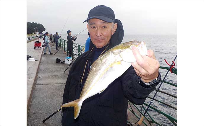 平日でも『海辺つり公園』は満員御礼　アジ40尾やショゴが釣れる一方でマダコは不発【神奈川】