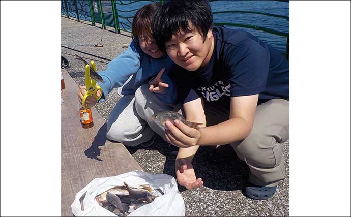 平日でも『海辺つり公園』は満員御礼　アジ40尾やショゴが釣れる一方でマダコは不発【神奈川】