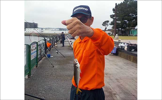 平日でも『海辺つり公園』は満員御礼　アジ40尾やショゴが釣れる一方でマダコは不発【神奈川】