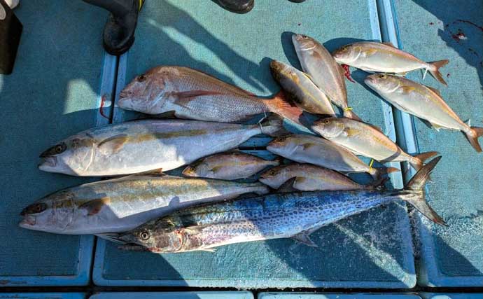 エサ付き好調で大型のヒラマサも浮上！【落とし込み最新釣果情報11選・福岡】