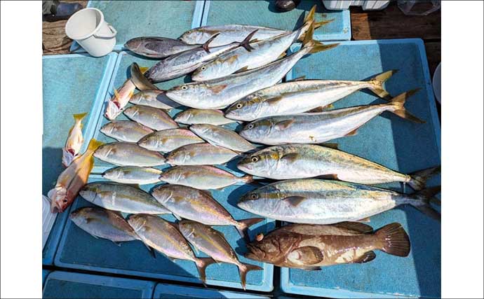玄界灘の船釣りでアラに大型青物が続々ヒット！【落とし込み釣果速報12選・福岡】
