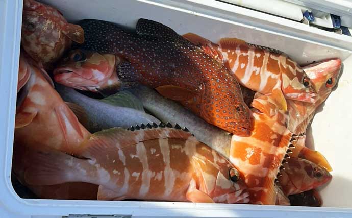100均製品とオモリだけの「激安＆簡単」仕掛けでクーラー満タン釣果！【伊是名島】