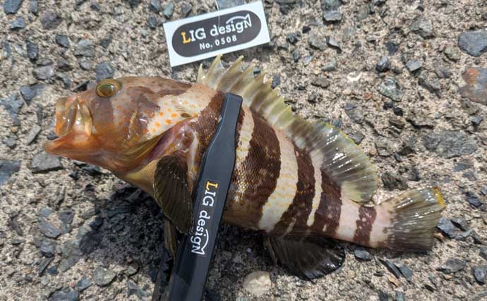 ワーム1種類で何魚種釣れるか試してみた　初対面の魚も含めて7魚種ゲットに驚き【京都】