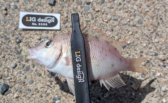 ワーム1種類で何魚種釣れるか試してみた　初対面の魚も含めて7魚種ゲットに驚き【京都】
