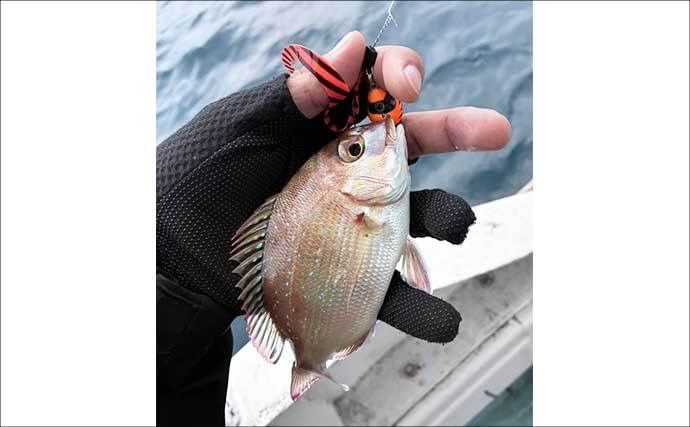 テンヤ船でタイラバは有効？　「真下ではなく横」を狙うと良型マダイヒット【関門海峡】