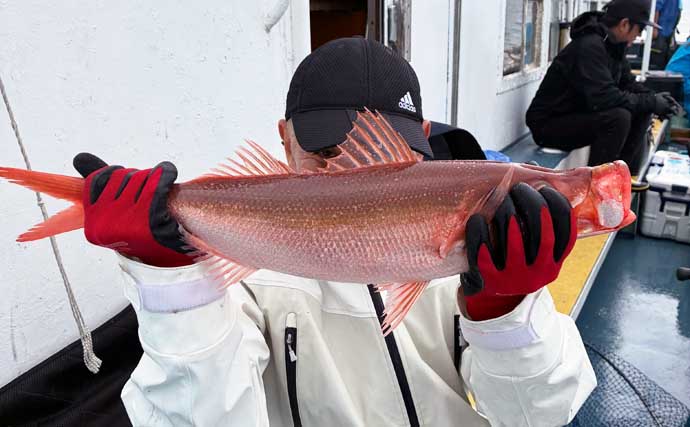 今アオリが釣れているエギと誘い方とは？　中部の「知って得する」船釣り特選情報9選