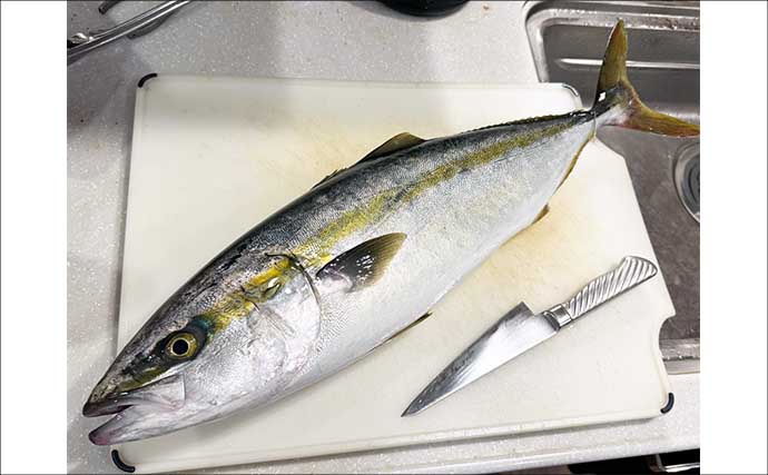 剣崎沖ワラサ釣りは好調？激渋？　5分に1回のこまめなコマセ入れ替え作戦的中で3kg級を確保！