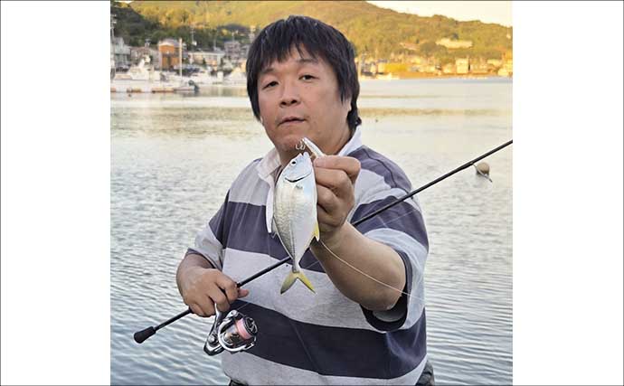 南伊勢のライトソルトゲームで7魚種キャッチ！ メッキ・カマス・アジをルアーで攻略【三重】