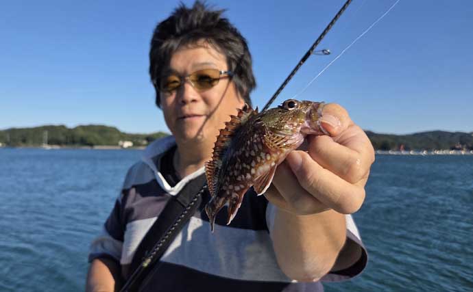 南伊勢のライトソルトゲームで7魚種キャッチ！ メッキ・カマス・アジをルアーで攻略【三重】